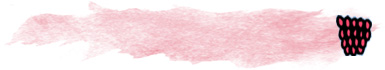 The Raspberry